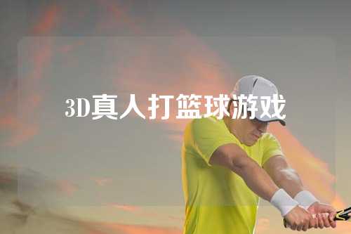 3D真人打篮球游戏