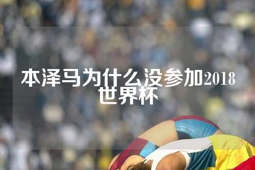 本泽马为什么没参加2018世界杯