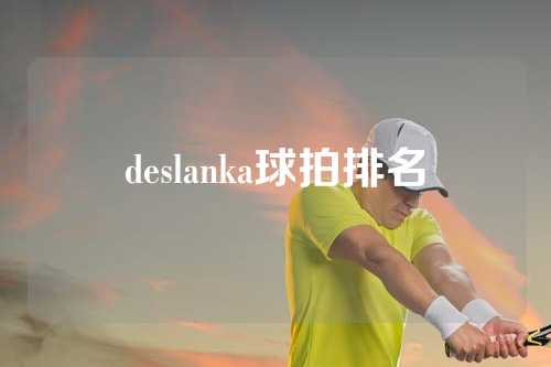 deslanka球拍排名