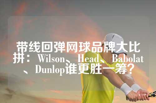 带线回弹网球品牌大比拼：Wilson、Head、Babolat、Dunlop谁更胜一筹？