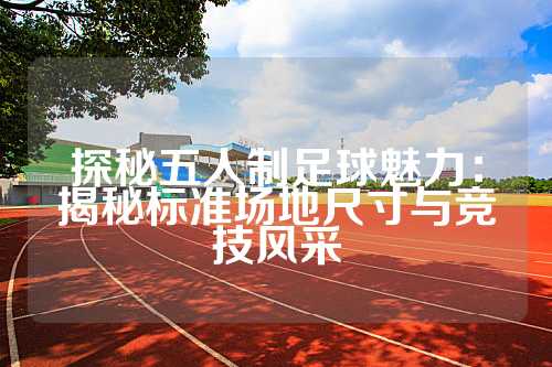 探秘五人制足球魅力：揭秘标准场地尺寸与竞技风采