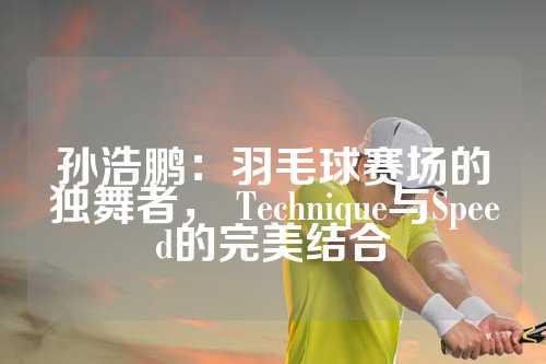 孙浩鹏：羽毛球赛场的独舞者， Technique与Speed的完美结合