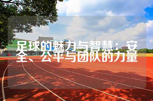 足球的魅力与智慧：安全、公平与团队的力量