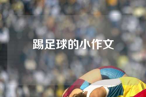踢足球的小作文