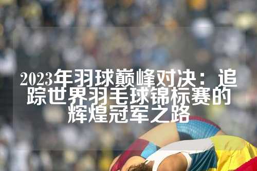 2023年羽球巅峰对决：追踪世界羽毛球锦标赛的辉煌冠军之路