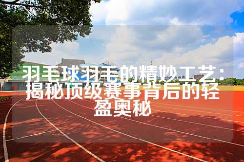 羽毛球羽毛的精妙工艺：揭秘顶级赛事背后的轻盈奥秘