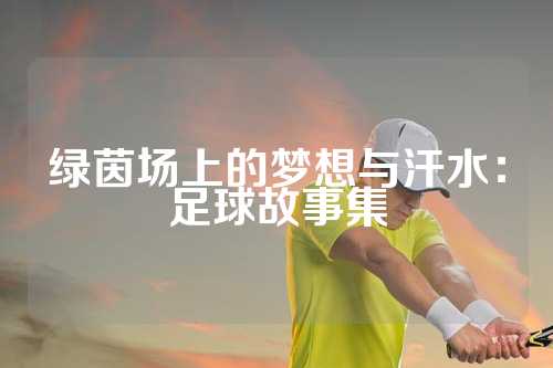 绿茵场上的梦想与汗水：足球故事集
