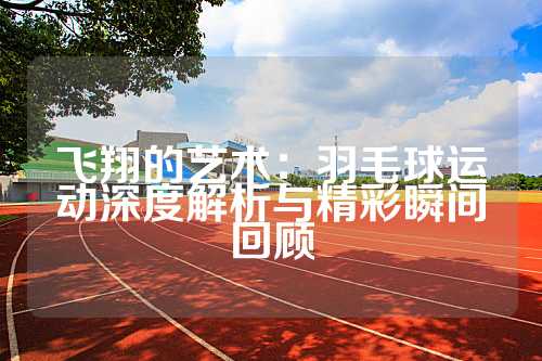 飞翔的艺术：羽毛球运动深度解析与精彩瞬间回顾