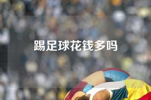 踢足球花钱多吗