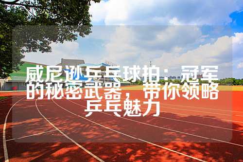 威尼逊乒乓球拍：冠军的秘密武器，带你领略乒乓魅力